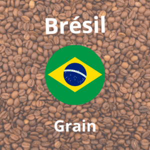 Grain Brésil