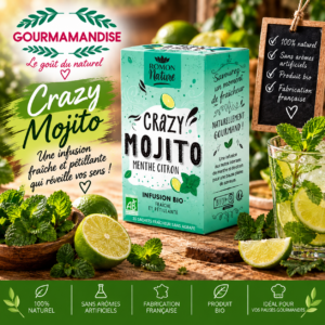 Crazy Mojito BIO Boîte de 16 sachets (infusion)