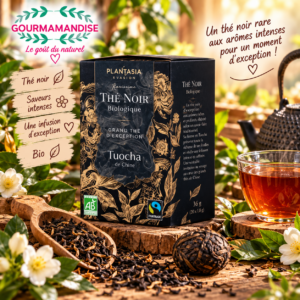 Thé noir Tuocha Pu Erh BIO boîte de 18 sachets