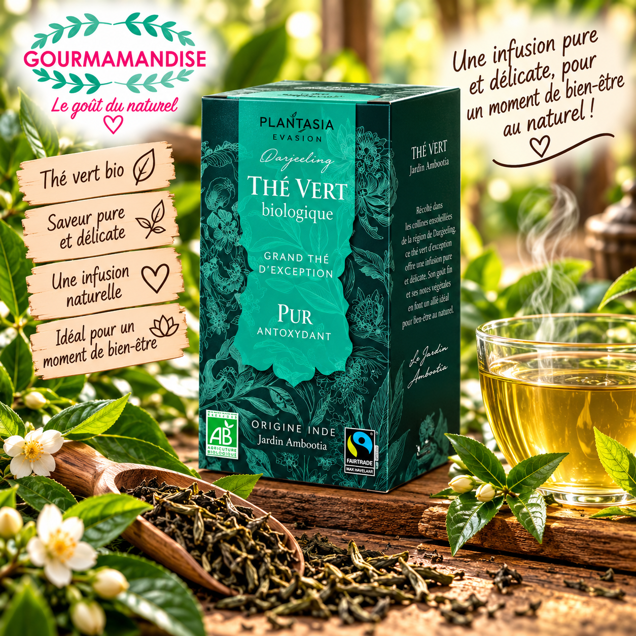 Thé vert pur 18 sachets BIO EQUITABLE