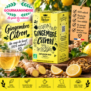 Gingembre - Citron BIO 16 sachets Infusion