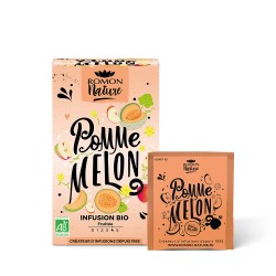 Infusion Pomme - Melon BIO