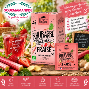 Rhubarbe - Gingembre - Fraise BIO 16 sachets Infusion