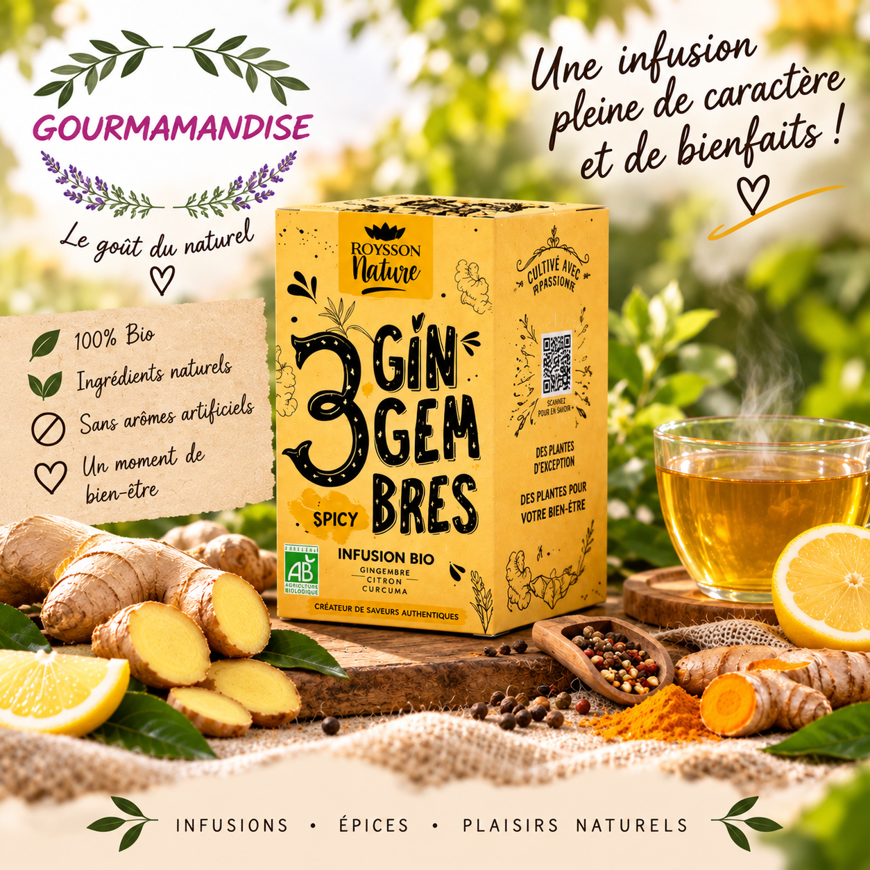 3 GINGEMBRES