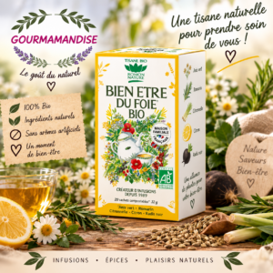 Bien Être Du Foie Bte 20 Sachets