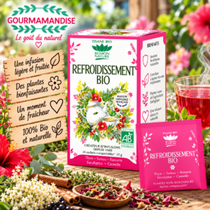 Refroidissement boîte de 20 sachets Tisane