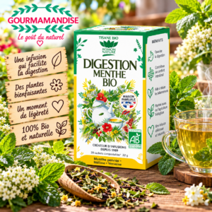 Thé Vert Digestion Menthe BIO boîte 20 sachets