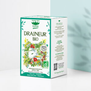 thé vert draineur