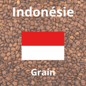 Café en Grain Gayo Mountain d’Indonésie 250g BIO