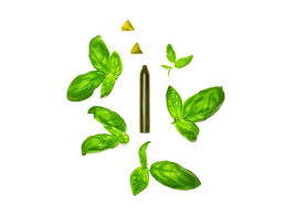 Crayon Basilic BIO