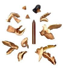Crayon Cèpes