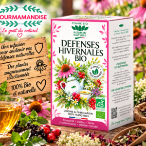 Défenses hivernales Bio bte 20 sachets Tisane