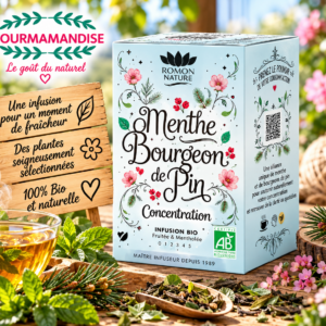 Menthe Bourgeon de pin Bio* Cocooning Infusion bte 20 sachets