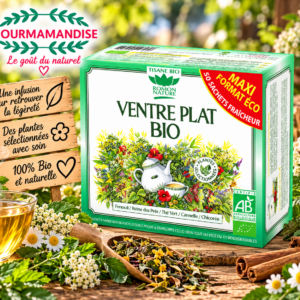 Thé Vert Ventre Plat Bio boîte de 50 sachets